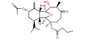 Krempfielin G